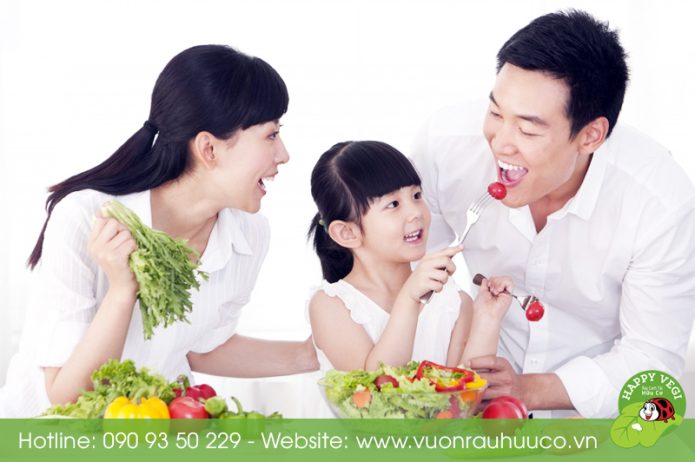 Happy Vegi - Lợi ích của rau hữu cơ đối với trẻ nhỏ
